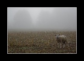 10500_foto