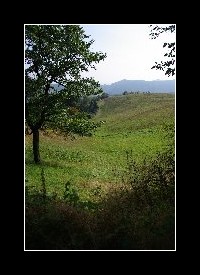 20070