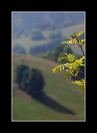 20090
