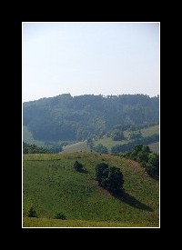 20110
