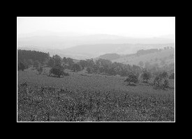 4500_bw