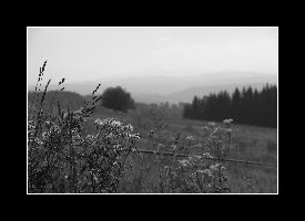 4700_bw