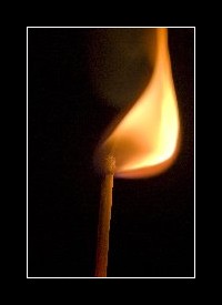 9100_foto