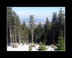 keprnik_500