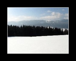 kralicak2011_110