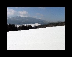 kralicak2011_120