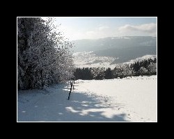 kralicak2011_130
