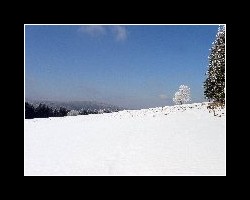 kralicak2011_140