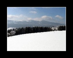 kralicak2011_150