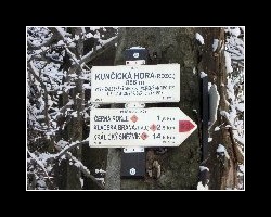 kralicak2011_160