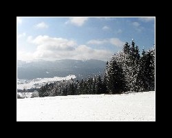 kralicak2011_190
