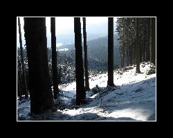 kralicak2011_200