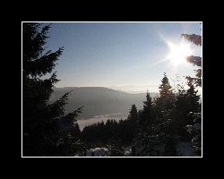 kralicak2011_230