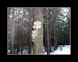 kralicak2011_240