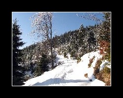 kralicak2011_290