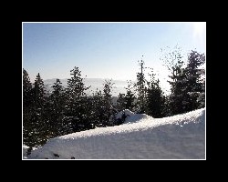kralicak2011_300