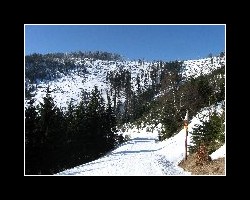 kralicak2011_310