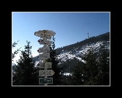 kralicak2011_320