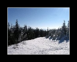 kralicak2011_330