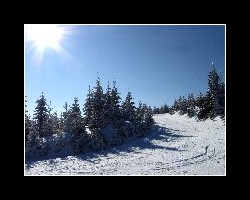 kralicak2011_340