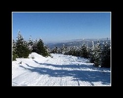 kralicak2011_350