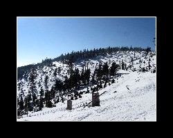 kralicak2011_380