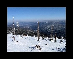 kralicak2011_440