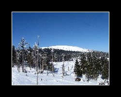 kralicak2011_460