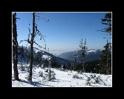 kralicak2011_480
