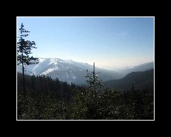 kralicak2011_490