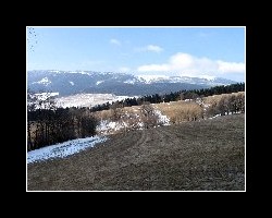 kralicak2011_50