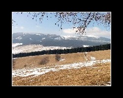 kralicak2011_60