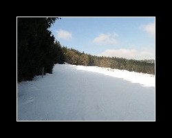 kralicak2011_80