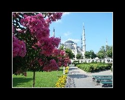 turkey10500