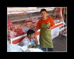 turkey10800