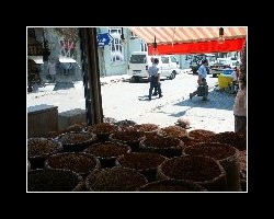 turkey10900