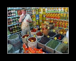 turkey11000
