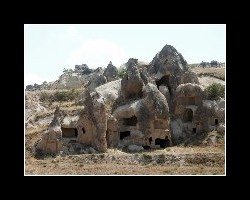 turkey1100