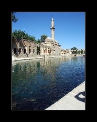 turkey4800