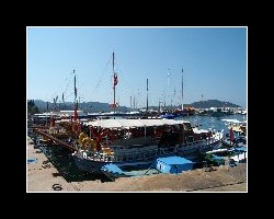 turkey7200