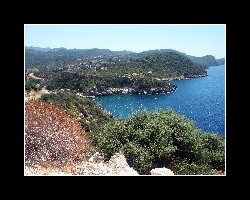 turkey8600